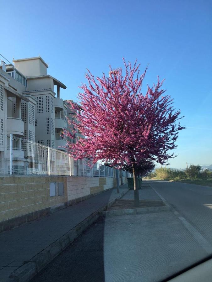 דניה Playa Sol Apartment מראה חיצוני תמונה